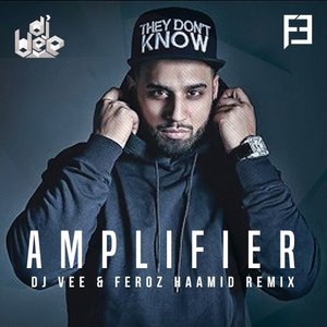 amplifier song lyrics in hindi