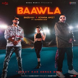 Baawla lyrics