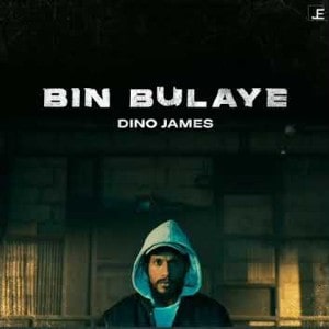 Bin Bulaye lyrics