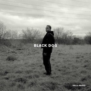 Black Dog lyrics