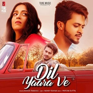 Dil Yaara Ve lyrics