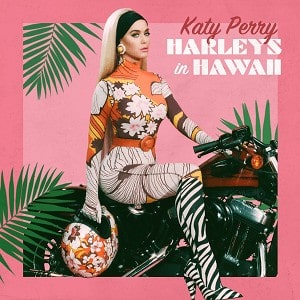 Harleys In Hawaii lyrics