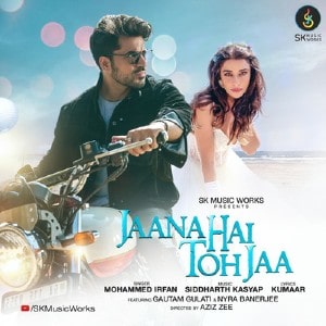 Jaana Hai Toh Jaa lyrics