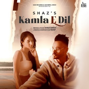 Kamla E Dil lyrics