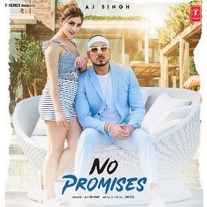 No Promises lyrics