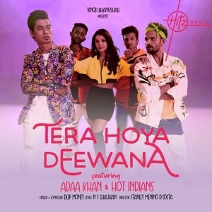 Tera Hoya Deewana lyrics