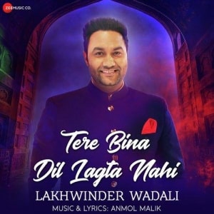 Tere Bina Dil Lagta Nahi lyrics