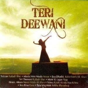 Teri Deewani lyrics