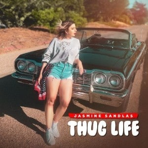 Thug Life lyrics