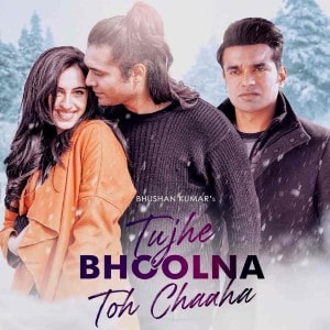 Tujhe Bhoolna Toh Chaaha lyrics