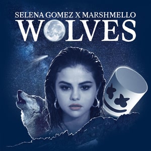 Wolves lyrics